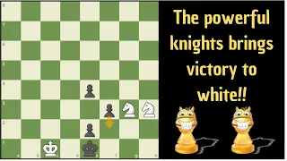 A pair of strong knights win this!