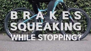 How to Fix Bike Brakes | Squeaking Disc Brakes | Liv Cycling