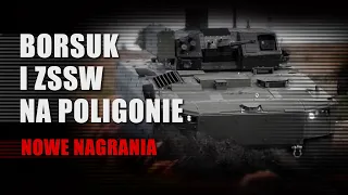 Borsuk i ZSSW na poligonie [Defence24 TV]