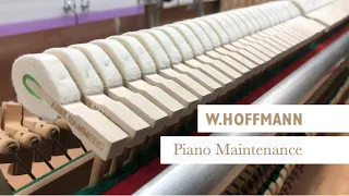 W.Hoffmann Piano Maintenance