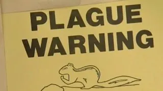 Mich. reports first case of bubonic plague in state history