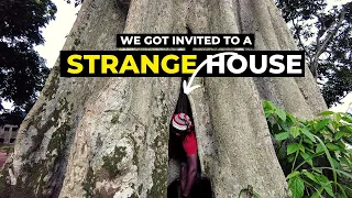 I Found Strange Things Inside of a Living Tree in Nigerian village