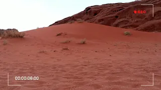 Wadi Rum, Jordan. Sand dunes