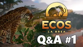 ECOS: LA BREA | Q&A #1