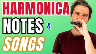 Harmonica Notes - What Are They & How to Play Them? | Beginner Harmonica Lesson