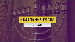 Недельная глава "Вайехи"