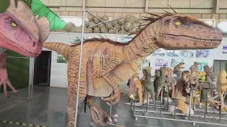 Reward offered for dinosaurs stolen in Spring Branch area, along with trailer they were in
