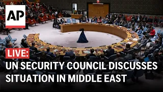 LIVE: UN Security Council discusses situation in Middle East