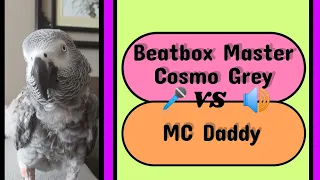 #animals #birds #parrots #pets #fun #lol #funny #cute #love #greyparrots #fyp #youtube #beatbox