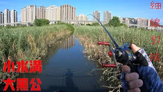 【微風運河釣遊】隱藏在城市中的野池小水溝竟然有黑公!? 塭子川