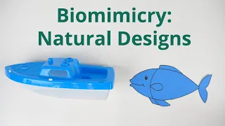 Biomimicry: Natural Designs