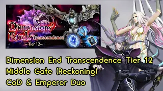 [DFFOO] Delay Duo 🤣 Dimension End Transcendence Tier 12 Reckoning (Middle Gate)