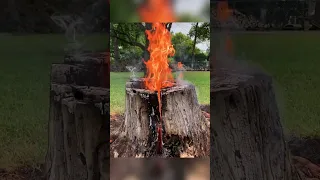 Stump Burning🔥Caught by Fire Department‼️