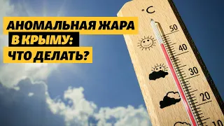 Крым: как справиться с аномальной жарой. Лайфхаки для крымчан