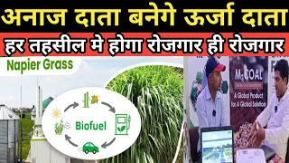 रोजगार का सुनहरा मौका सेटअप कंपनी करके दे रही है |HOW TO START BIO FUEL CNG AND COAL UNIT BUSINESS |