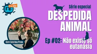 #02 DESPEDIDA ANIMAL: não existe só eutanásia