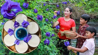 Fresh butterfly pea flower | Collect butterfly pea flower for making tea and jelly | Amazing Video