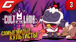 ЛУЧШИЙ КУЛЬТ ➤ Cult of the Lamb ◉ Прохождение #3