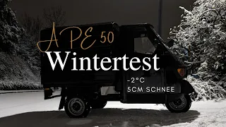 Ape 50 Wintertest - wie fliegt die Biene im Schnee?