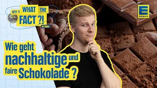 Nachhaltige Schokolade ► Kakaoanbau ohne Abholzung & Ausbeutung