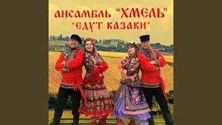 Едут казаки