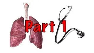 Introduction to the respiratory examination part 1