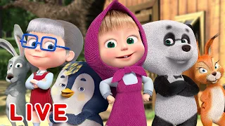 🔴 LIVE STREAM 👱♀️🐻 마샤와 곰 🐿️🦝숲속 친구들🦉🐻   Masha and the Bear