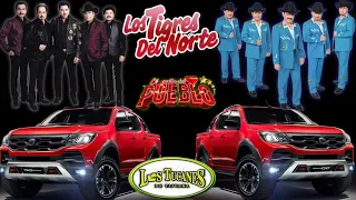 puros corridos chingones ✴️ ☆Los tigres del Norte vs los tucanes de Tijuana ☆