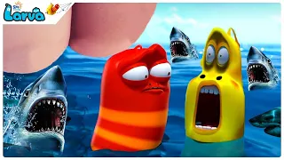 Shark attack in the Sea - Larva Season 3 | Larva Island | мультфильмы для детей |мультики на русском