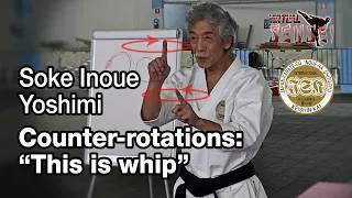 Soke Inoue Yoshimi - Counter-rotations: "This is whip" - Seminar Italy 2013