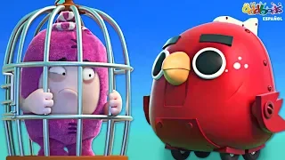 Oddbods | Pajaritos | Dibujos Animados Graciosos Para Niños