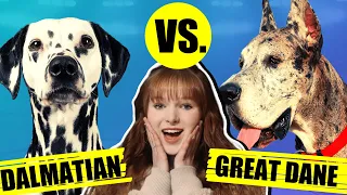 DALMATIAN VS GREAT DANE