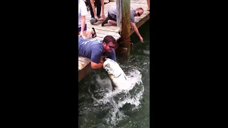 Fish Grabs Man's Arm! (THE Original Video) - Tarpon Smackdown!