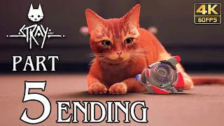 STRAY ENDING Walkthrough PART 5 (PS5) No Commentary Gameplay @ 4K 60ᶠᵖˢ ✔