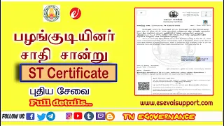 ST Certificate | Apply Online | பழங்குடியினர் சாதி சான்று | Tamil Nadu | eSevai support |  TNeGA CSC