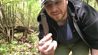 Bushcraft: В поисках места для лагеря , перекус на природе )