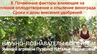 8 Плохое опыление винограда - почвенные факторы, внесение удобрений (Пузенко Наталья Лариасовна)