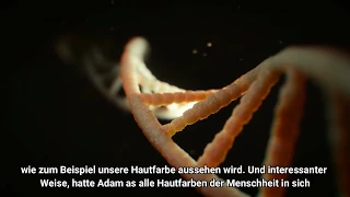 Die Erschaffung Adams 1