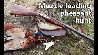 Muzzle loading pheasant hunt with flintlock