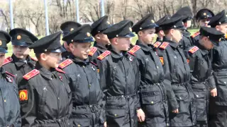 Вручение погон вице-сержантов в 1 роте. 27 апреля 2016 года