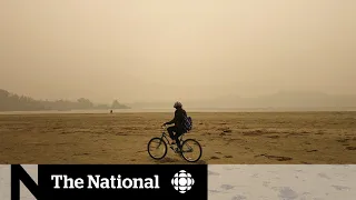 Air quality concerns rise as U.S. wildfire smoke hovers over B.C.