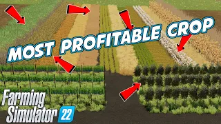 FS22 Most Profitable Crop | Farming Simulator 22