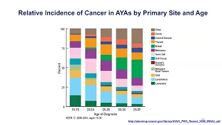 David R  Freyer, DO, MSP, discusses Survivorship After Early-Onset Cancers: The Emerging Big Picture