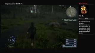 FFXV bug regalia empty