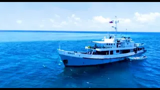 MY RESOLUTE LIVEABOARD - scuba diving holiday in Philippines | DIVE THE WORLD