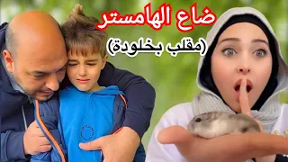 ضاع الهامستر فلافي في الحديقة(مقلب بخلودة😭)