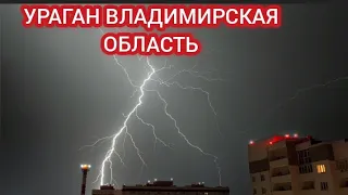 ВЛАДИМИРСКАЯ ОБЛАСТЬ ПОСЛЕДСТВИЯ УРАГАНА