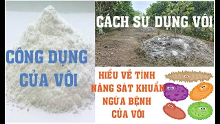 Nông dân cần biết-lợi ích của vôi và cách sử dụng vôi hiệu quả, hiểu về tính năng sát khuẩn của vôi