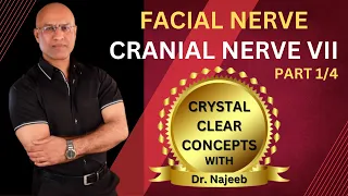 Facial Nerve | Neuroanatomy | Part 1/4
