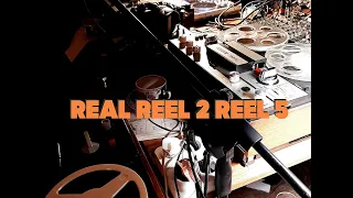 Real Reel 2 Reel 5 (маяк-203)